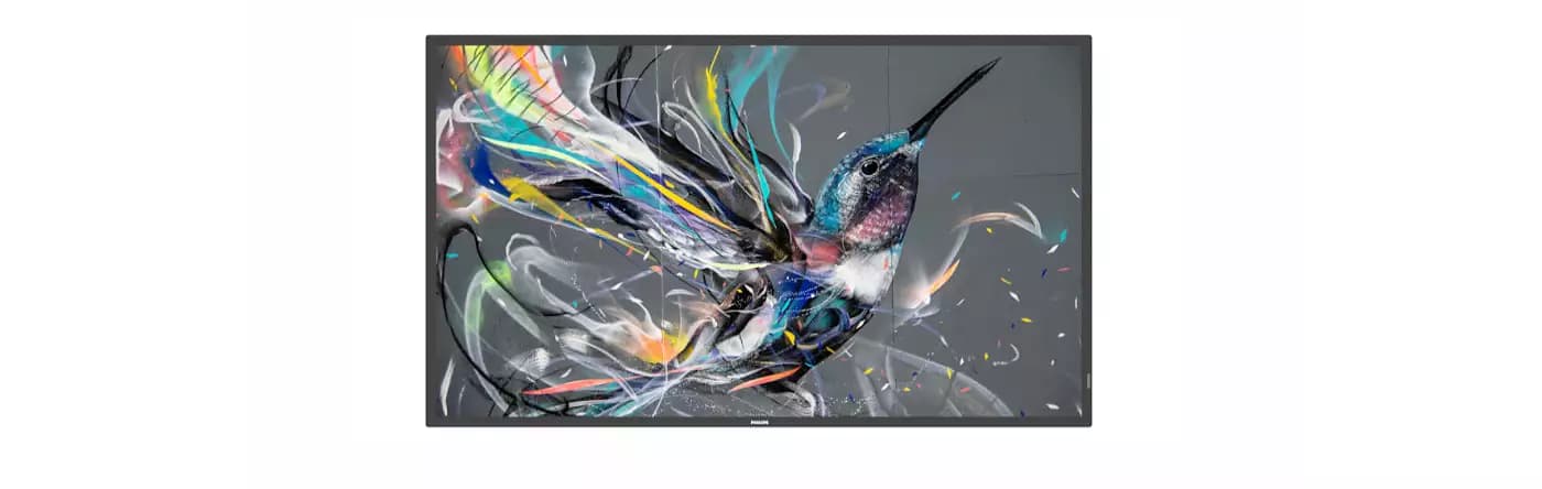 Philips 43BDL3511Q 43" Q-Line Display — manufacturer product-family image (single product shot)
