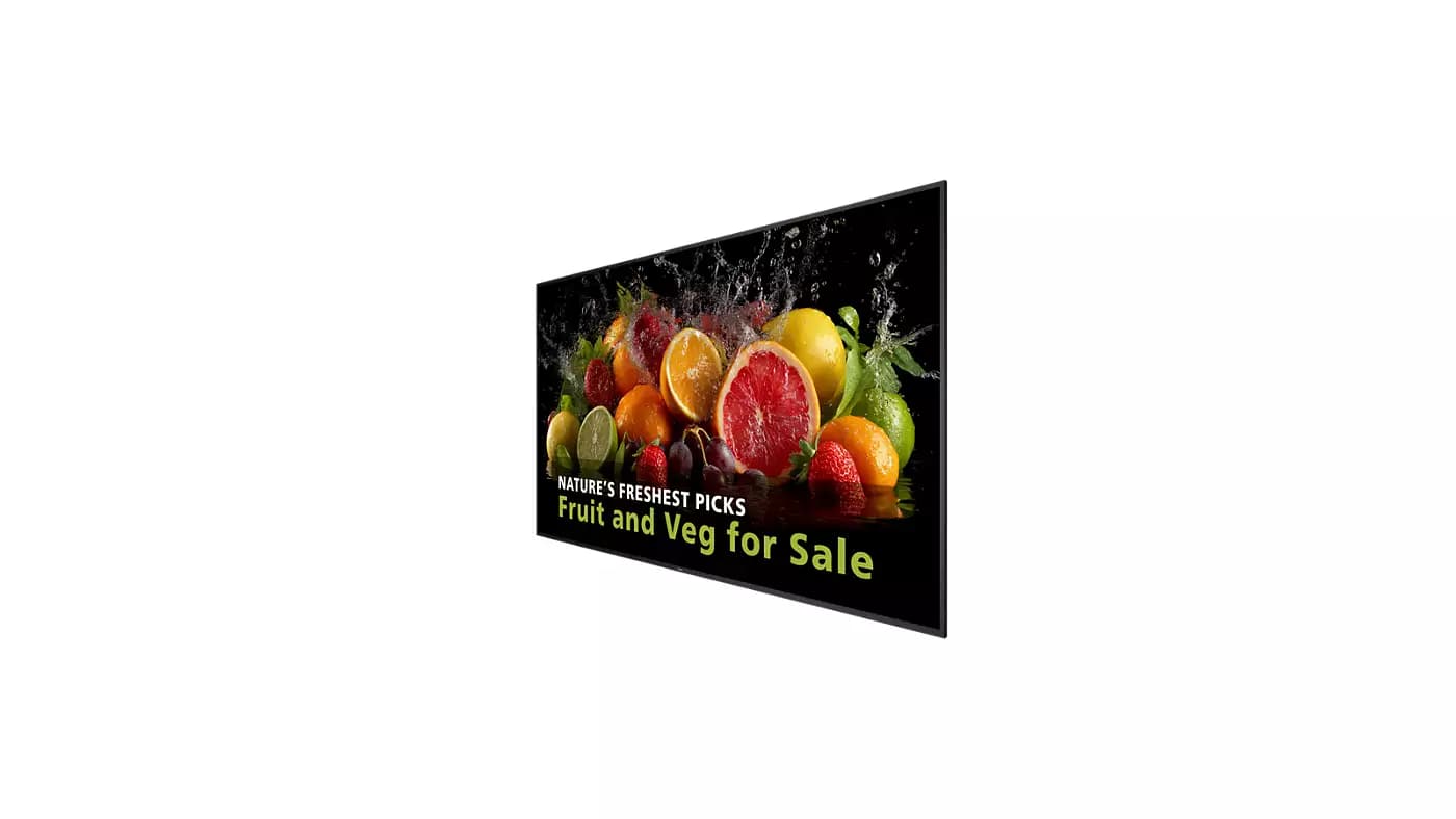 Philips 98BDL5050D 98" Signage 5000 Series — single product shot