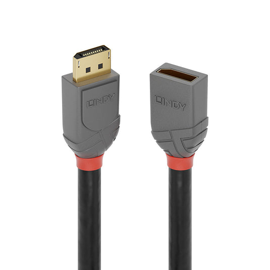 Lindy 0.5m DisplayPort 1.4 Extension Cable, Anthra Line - TopAV